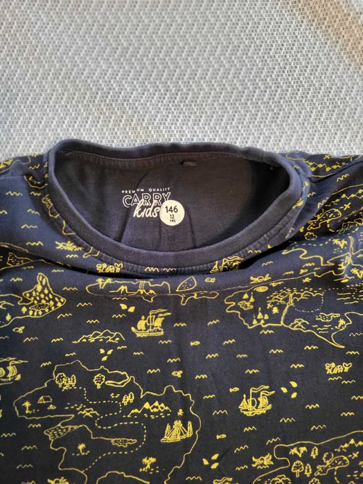 Koszulka chłopieca t-shirt Carry r.146