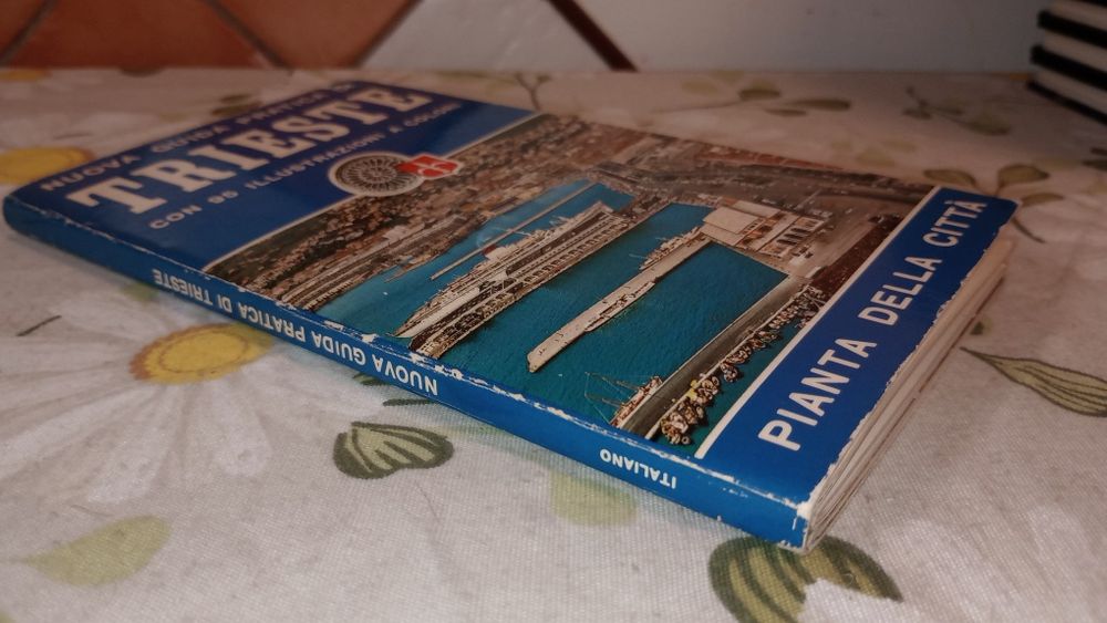 Trieste. Nuova Guida Pratica di 95 illustrazioni..
