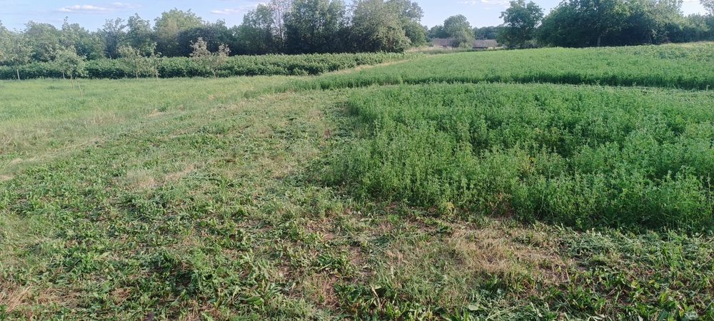 Мотоблок 6 дизель