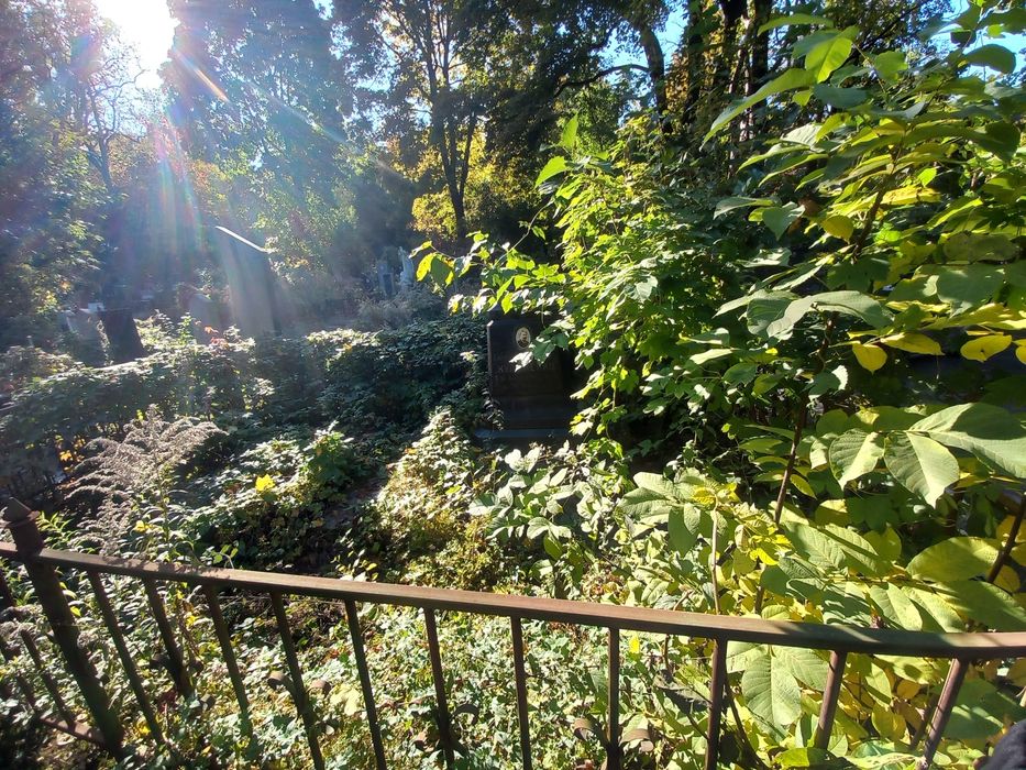 Уборка  и уход могил КИЕВ