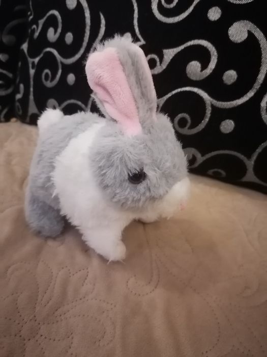 Baby Born дракоша Интерактивная Собачка хомяк жу жу пони кошка песик с