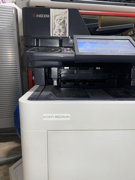 БФП Kyocera ECOSYS M6230cidn