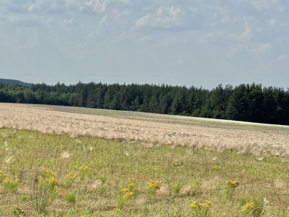 Земельна ділянка 27 га! Андріївка.