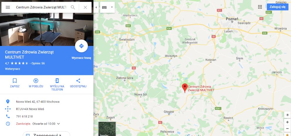 Zaginął kotek Mały