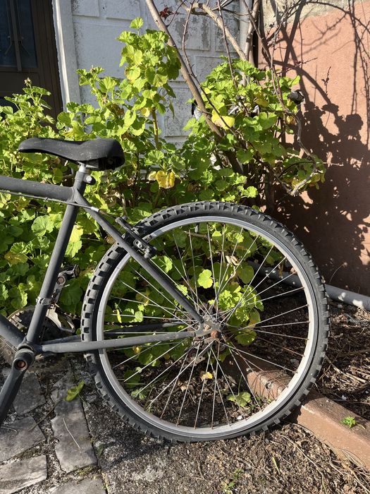 Bicicleta desportiva unisexo - estilo moderno