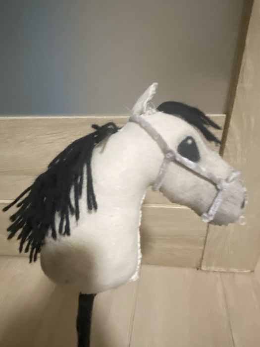 Hobby horse , konik z kijem