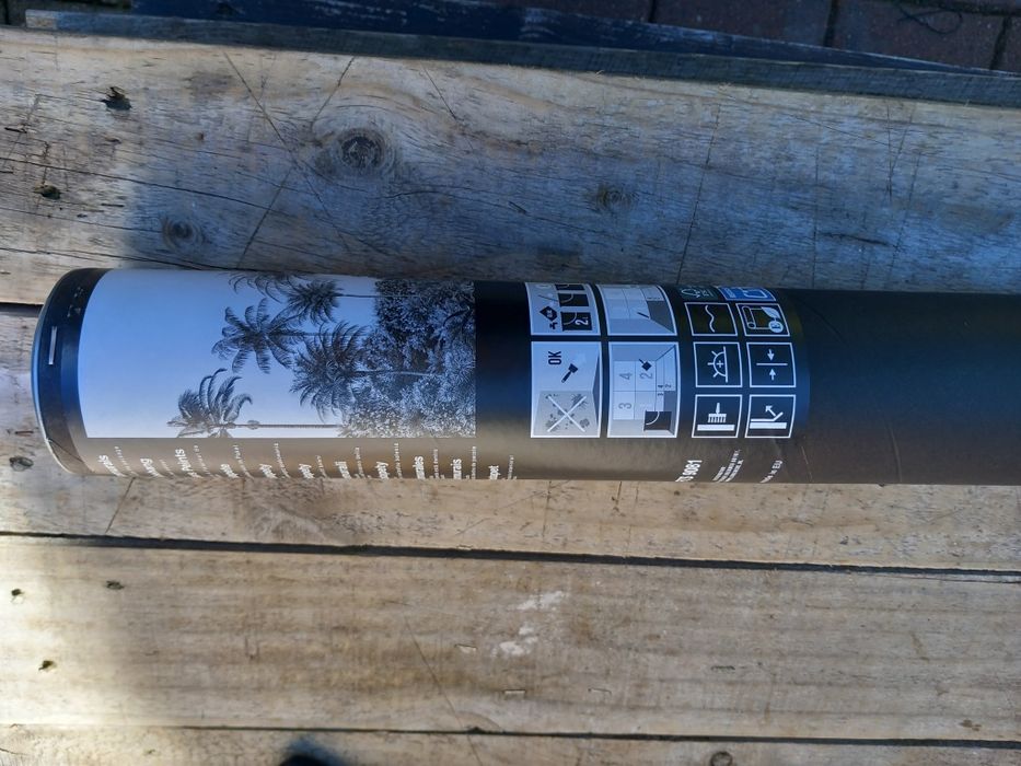 Fototapeta  XXL W TUBIE 360X255 Palmy czarno białe.