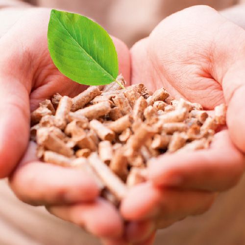 Pelet drzewny 100% z trociny sosnowej dla gryzoni, żwirek dla kota