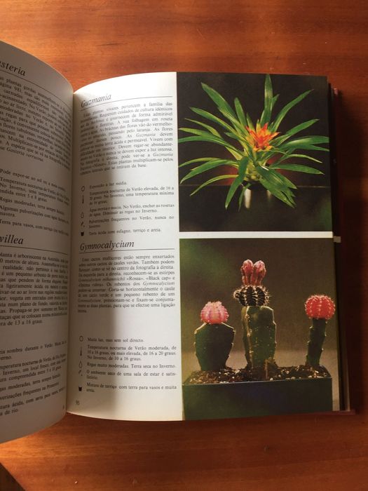 O Livro das plantas