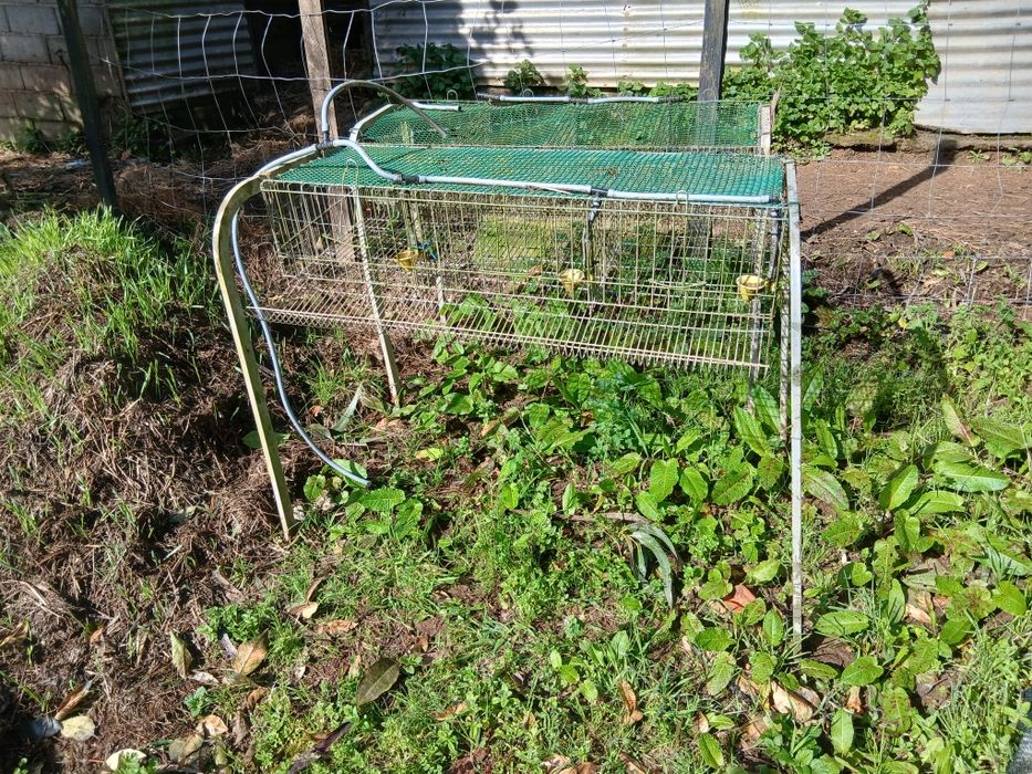 Gaiolas para codornizes