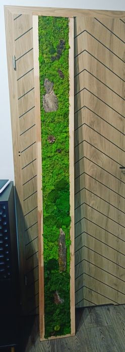 Obrazy leśne z mchu