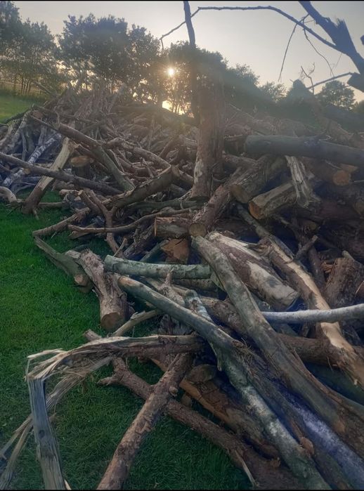 Drewno opałowe cięte na wymiar