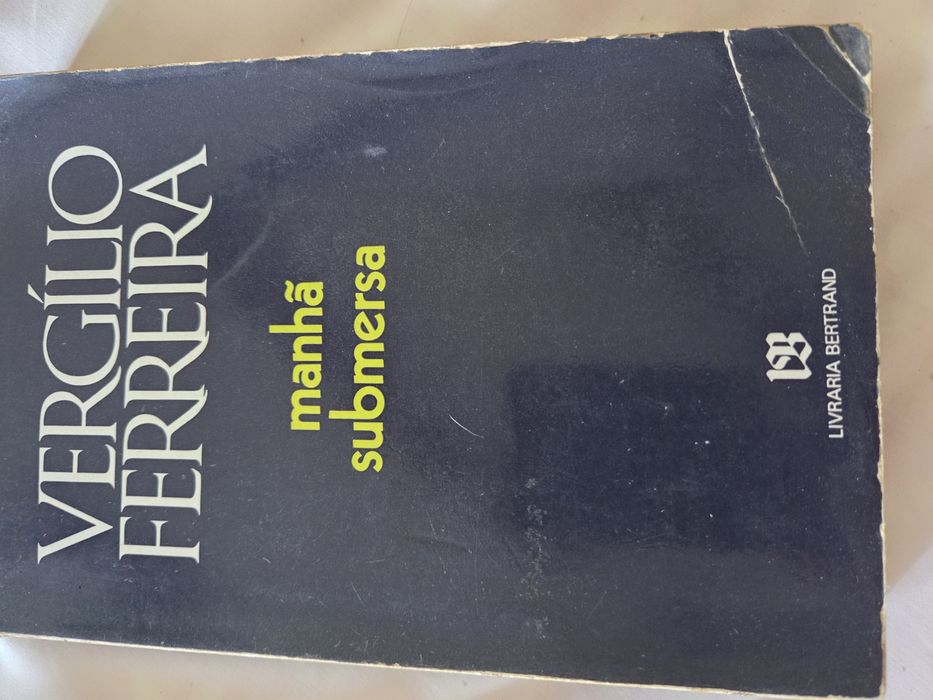Manhã Submersa, de Virgilio  Ferreira.   Sobre a educação  dos jovens no seminário, os castigos, os tabus, a penitência