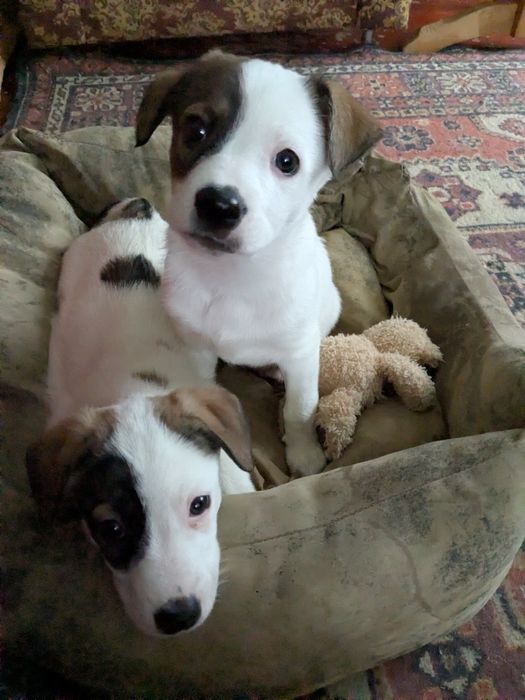 Возьмите ребенка в семью