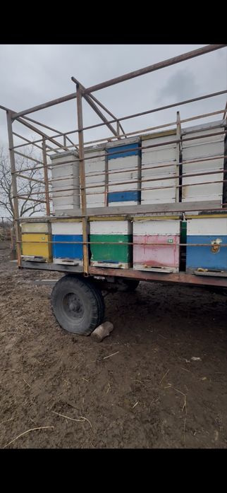 Бджоловіз. Пчелопавильйон. Прицеп для перевозки пчёл.