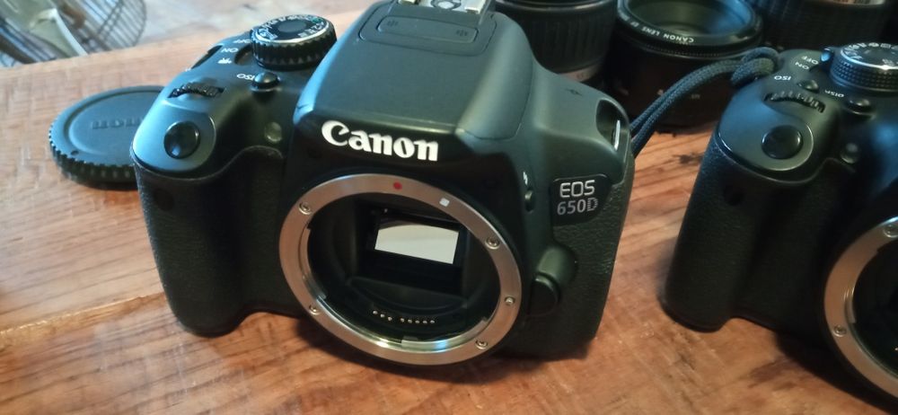 Canon eos 650d e 600 d e várias lentes