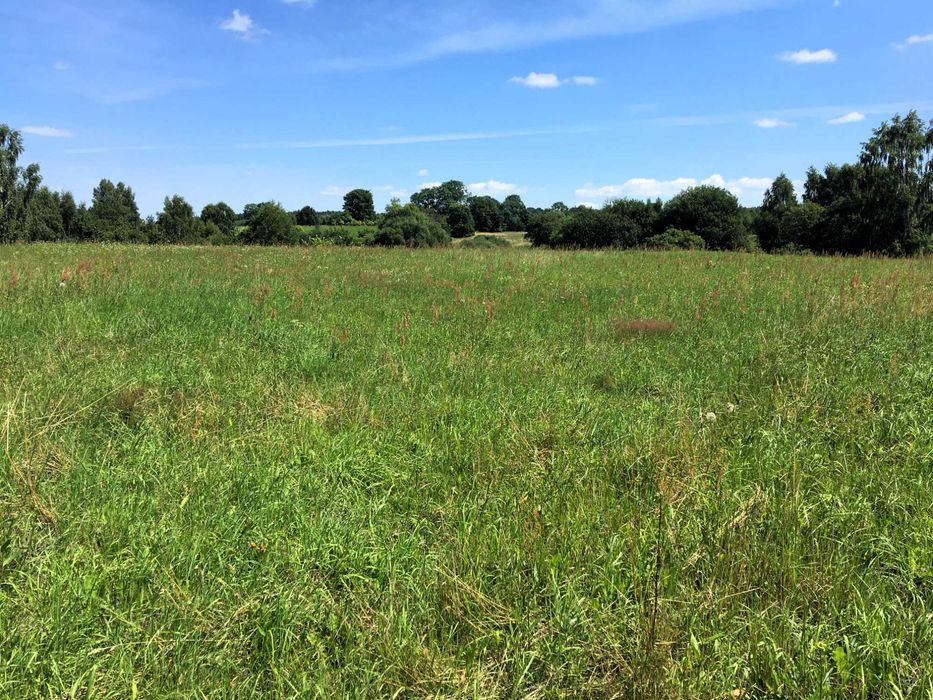 Działki nad jeziorem Dadaj (2ha)