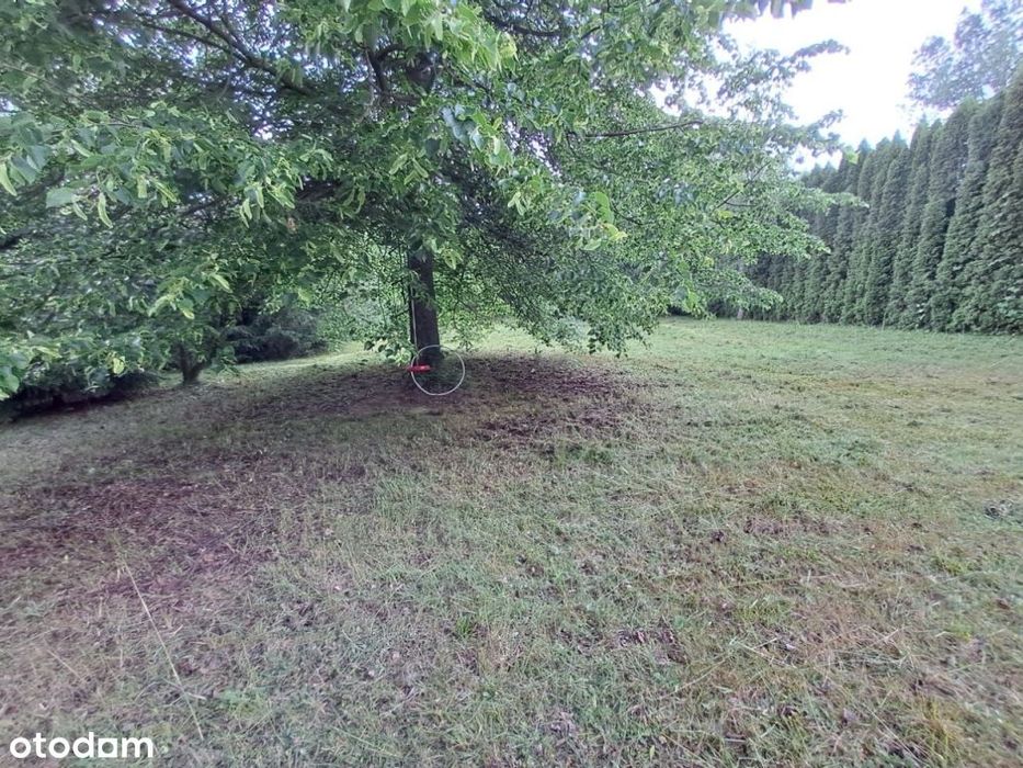 Dom – Suchocin - Widok 4