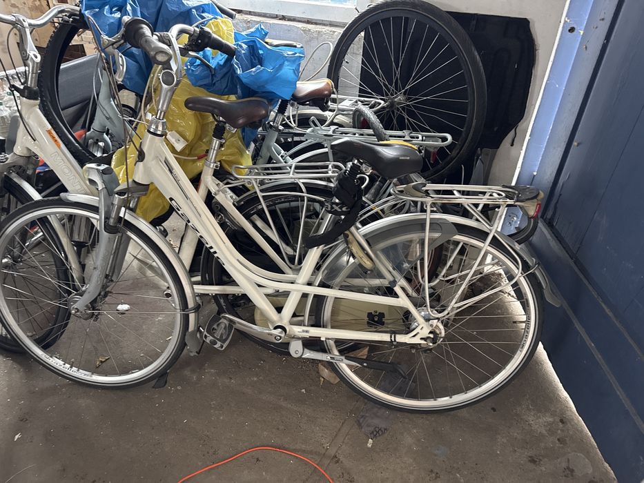 Rower holenderski Gazelle Giant Kuga