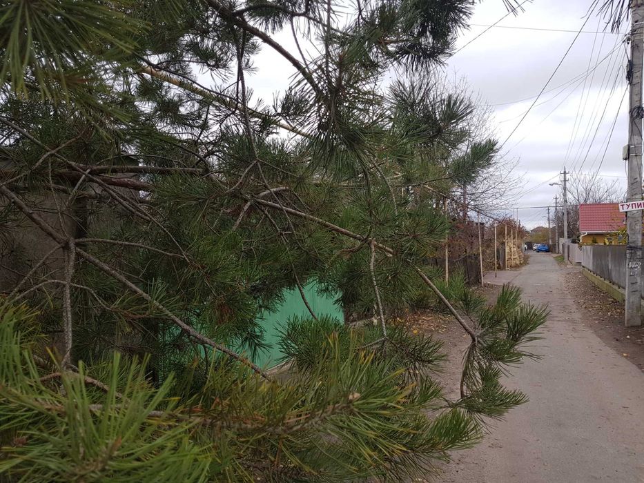 Будинок за адресою (площа 120 м²) - Atlanta.ua - фото 7