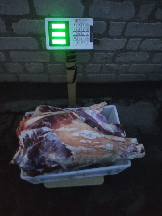Барани, баранина, ягнятина, козлятина , коза, козеня Тушка .