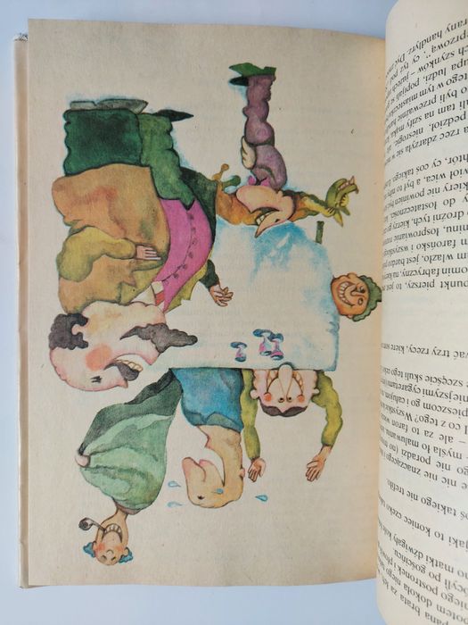 Bery i bojki śląskie - Stanisław Ligoń