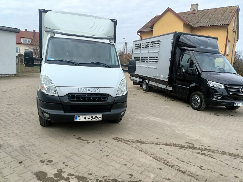 Iveco do Żywca Bydla