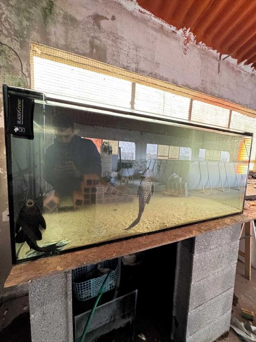 Aquario 140x60x90 CxAxL
