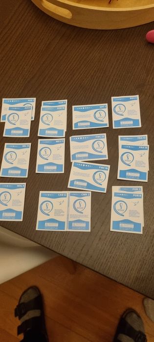 Cadernetas Qatar mais cromos