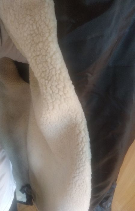 Пальто великого розміру