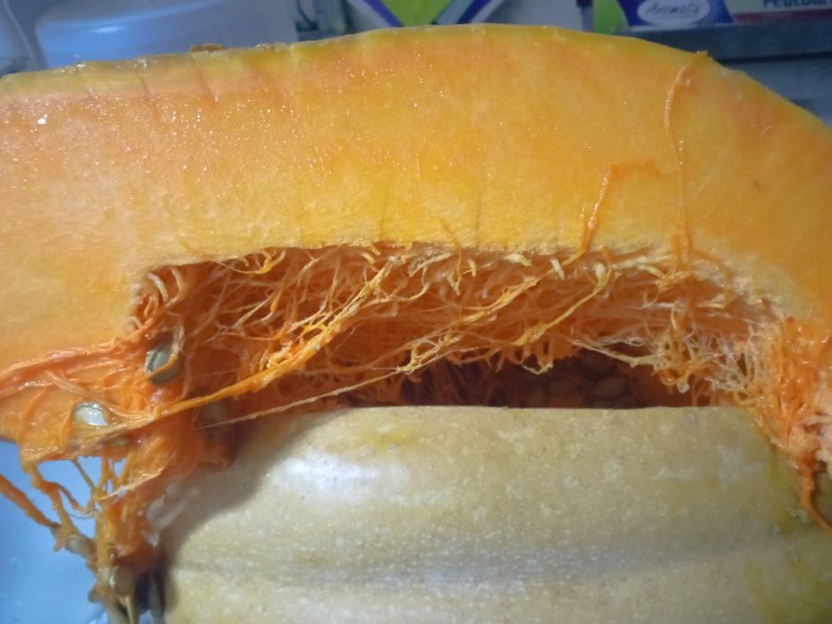 Abóbora gila /.chila e abóbora menina