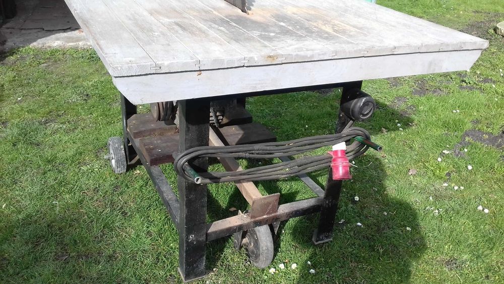 Piła krajzega siła