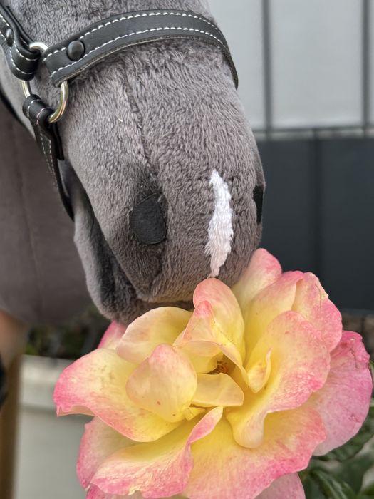 Hobby Horse Hck Forestry de roket