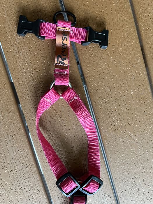 Szelki dla psa tozmiar s różowe