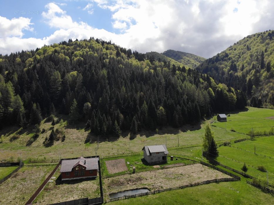 Земельна ділянка в Карпатах , річка , гори