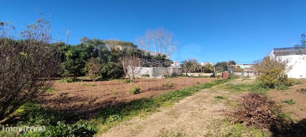 Terreno para Moradia T4 com Projeto Aprovado e Anexos | Lourinhã