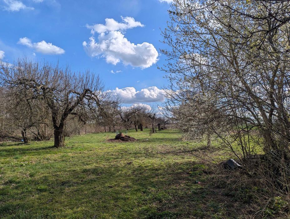 Działka budowlana + rolna - 1,2 ha, zabudowana nieruchomość (dom, budynki gospodarcze) Dylów Rządowy, gm. Pajęczno - Widok 5