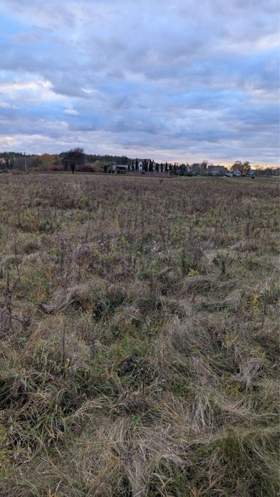 Земельна ділянка