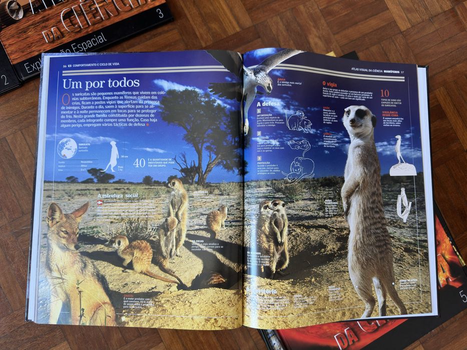 Coleção 16 livro Altas Visual da Ciência