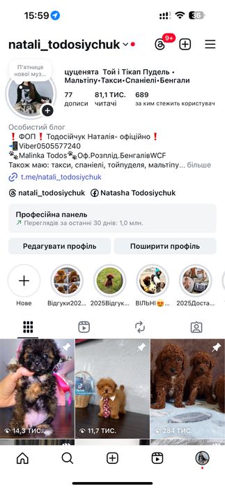 Наші малюки зачарують найвибагливіших Той та тікап пуделята