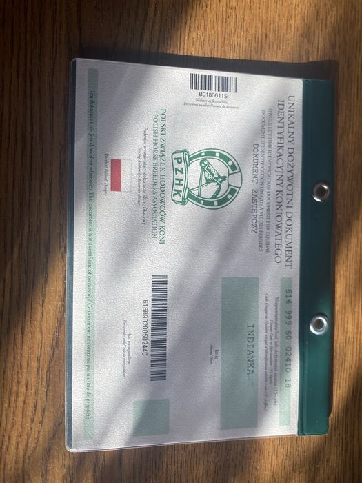 Sprzedam kucyczke bardzo spokojna