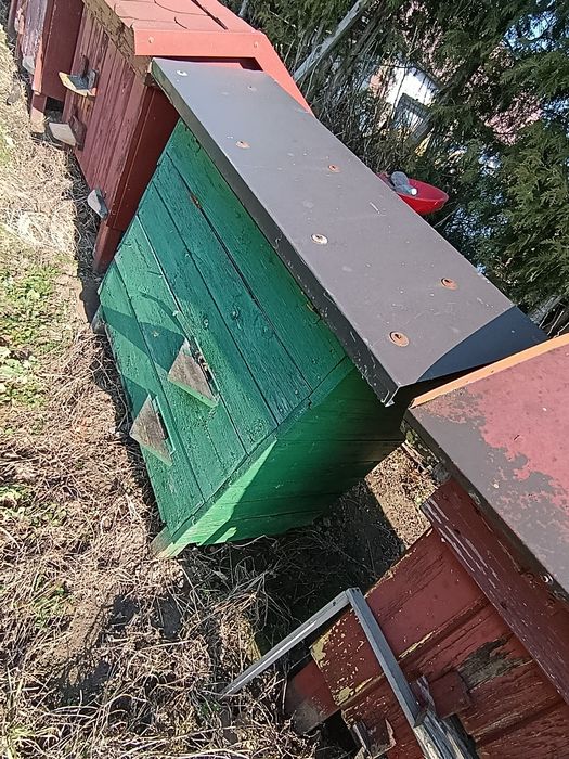 Rodziny przszczele