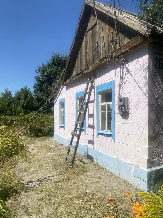 Продам будинок м Кам‘янське Романково
