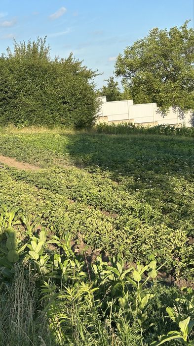 Панорамні  8 сот. с. Красне 1, Київ 35 км