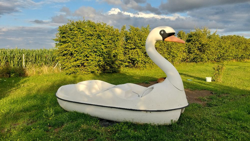 Duży rower wodny Łabędź