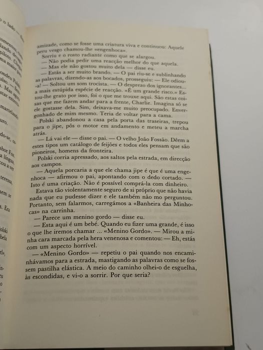 A costa de mosquito