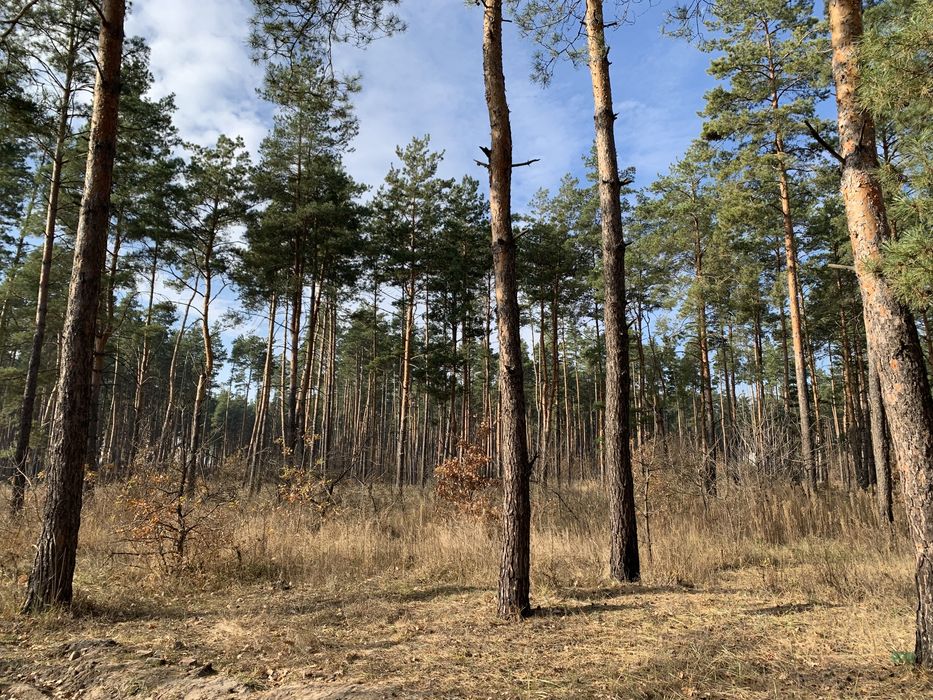 Продам участок 25 соток в Песчанке