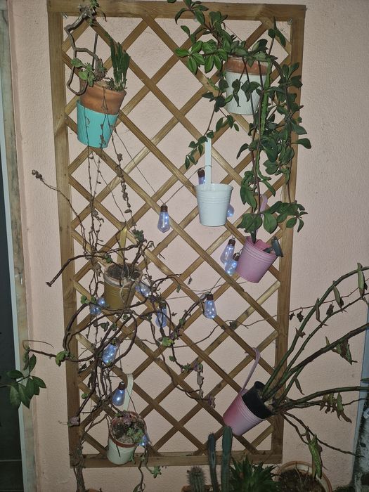 Trelica madeira plantas