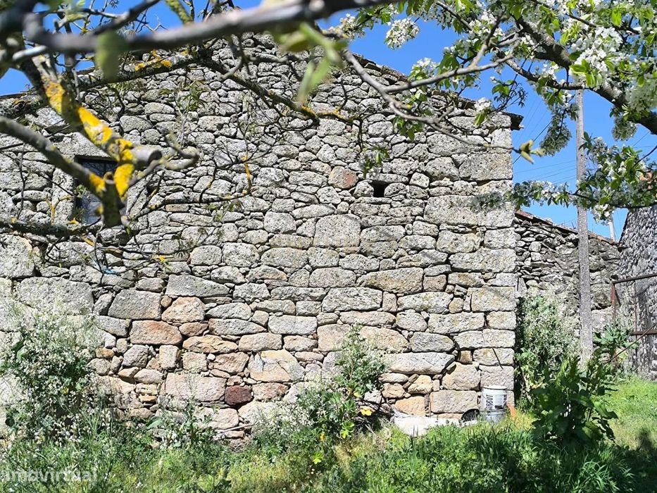 Casa antiga, em pedra de granito, com terreno, poço e árvores de fruto