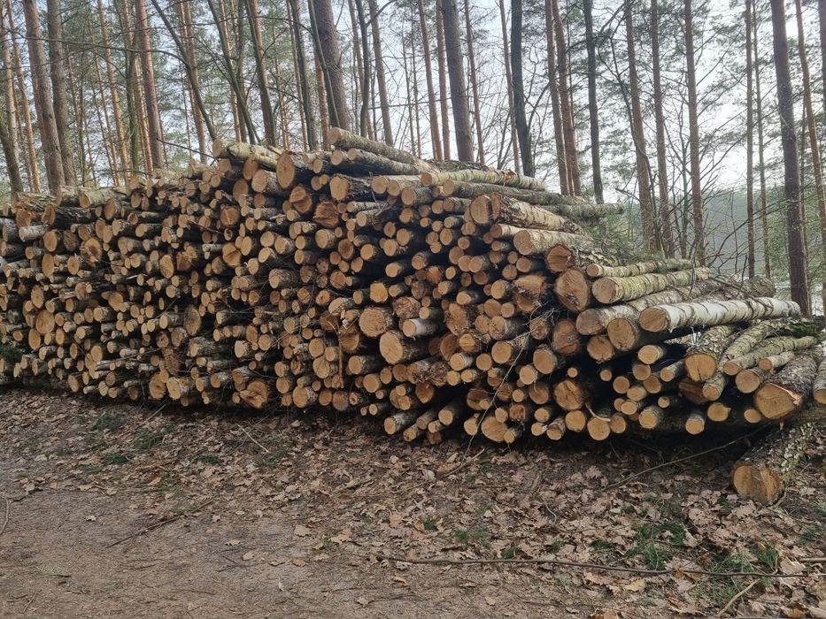 Drewno łupane,opał ,dowóz